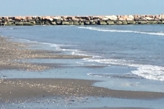 IMG_4910 (2)