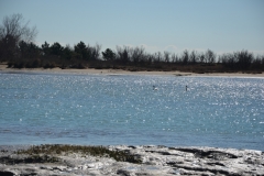DSC_0073 (2)