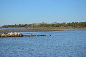 Laguna del Mort