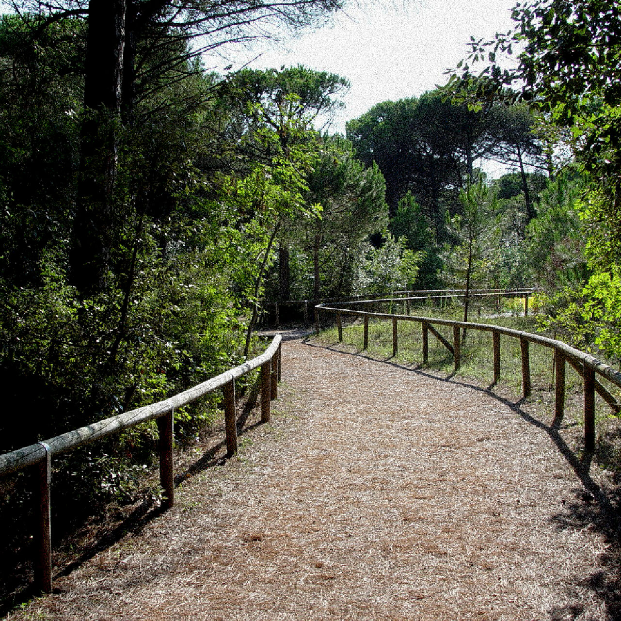 eraclea-mare-cosa-fare-piste-ciclabili-pedonali