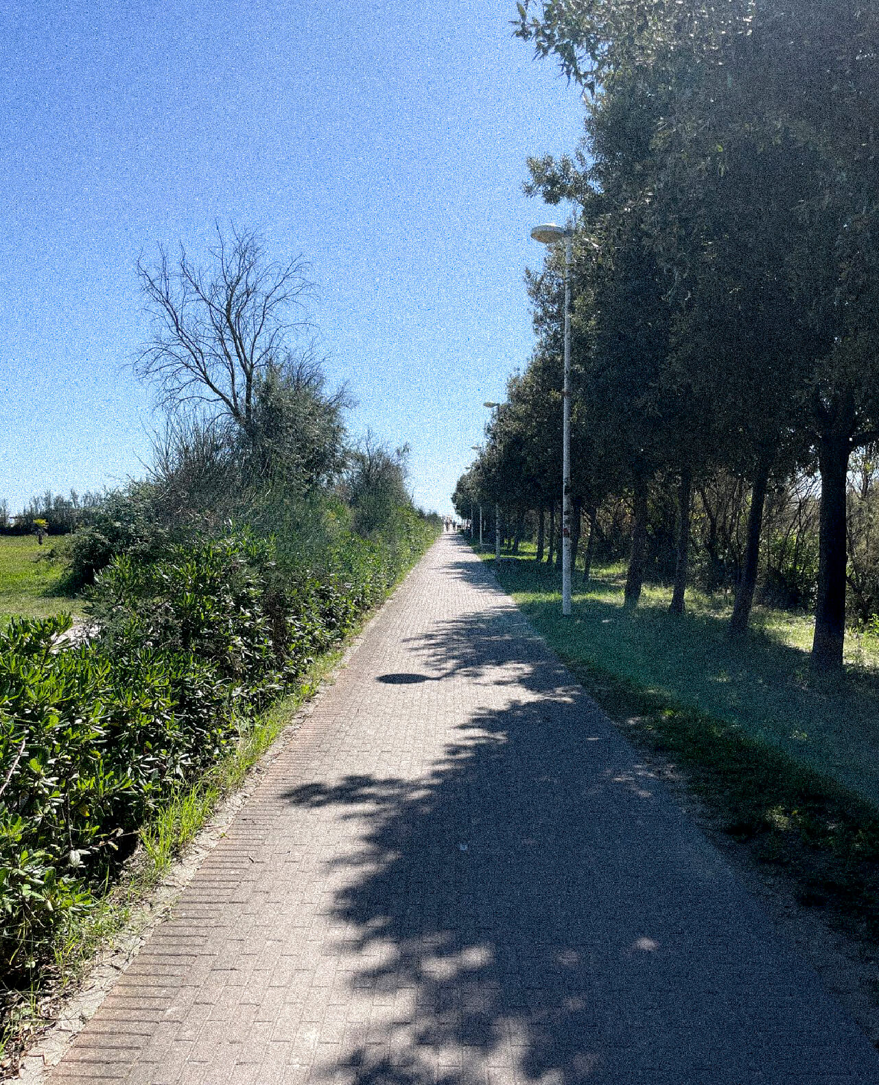 eraclea-mare-cosa-fare-tour-bicicletta-piste-ciclabili-jesolo-caorle