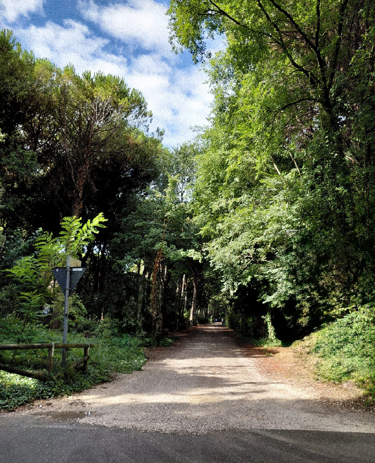 eraclea-mare-pista-ciclabile-bicicletta-vacanza-famiglia-veneto