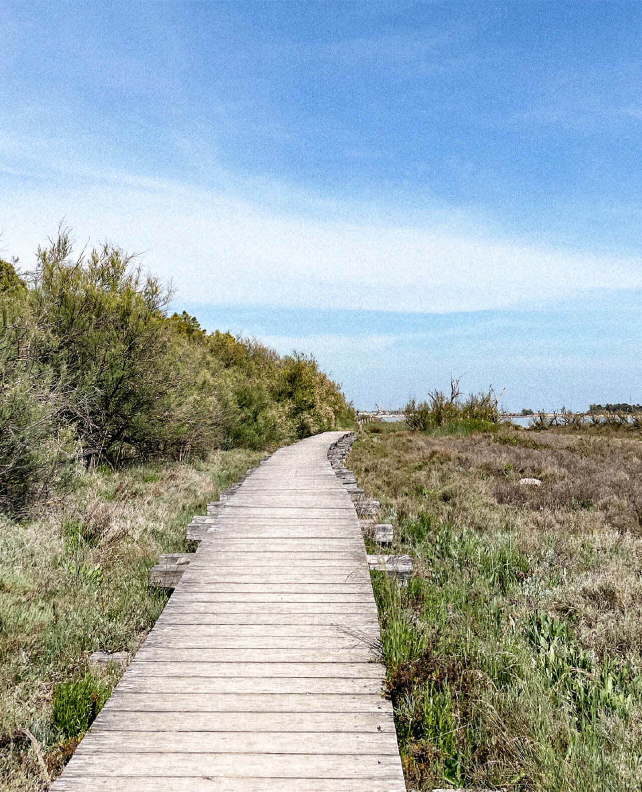 escursioni-attorno-eraclea-mare-veneto
